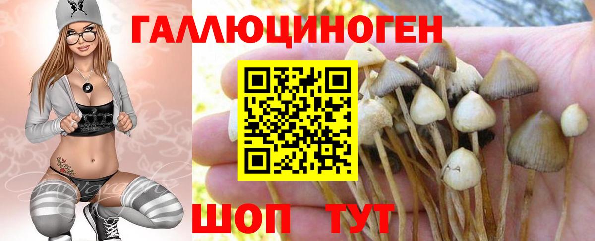 Галлюциногенные грибы ЛСД Ярославль