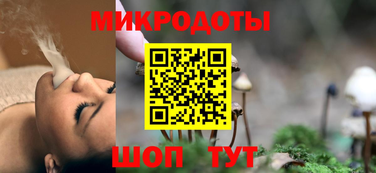 Ярославль  Псилоцибиновые грибы прущие грибы  Галлюциногенные грибы Psilocybine cubensis  Вход с VPN 