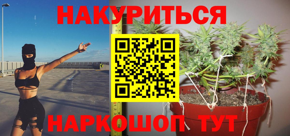 Бошки марихуана ГИДРОПОН  Вход с VPN  Ярославль  Бошки марихуана конопля 